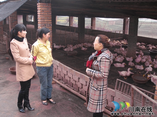 牛滩镇：妇联领导走基层&nbsp;调研基层妇女工作(图3)