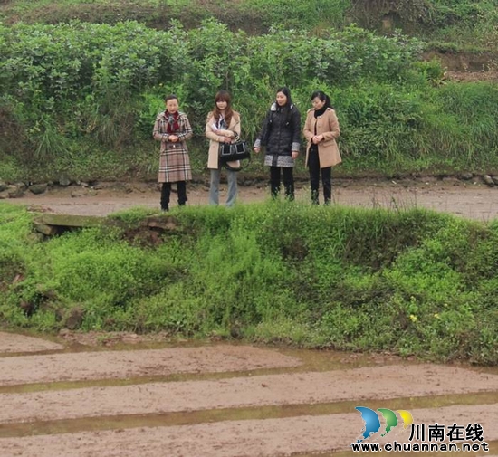 牛滩镇：妇联领导走基层&nbsp;调研基层妇女工作(图2)