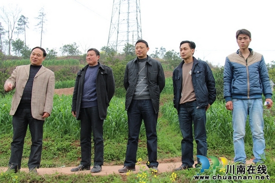 牛滩镇：领导查看甜橙嫁接(图1)