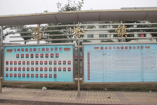 马岭镇:“四结合”推动政务公开(图2) 马岭镇:“四结合”推动政务公开(图2)