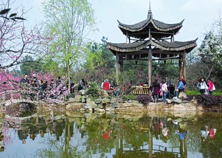 今年春天来得晚花期推迟&nbsp;川南赏花还要等一周(图1)