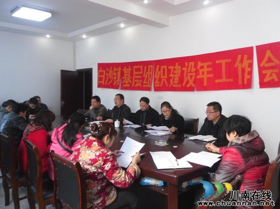 白沙镇：召开基层组织建设年工作会(图1)