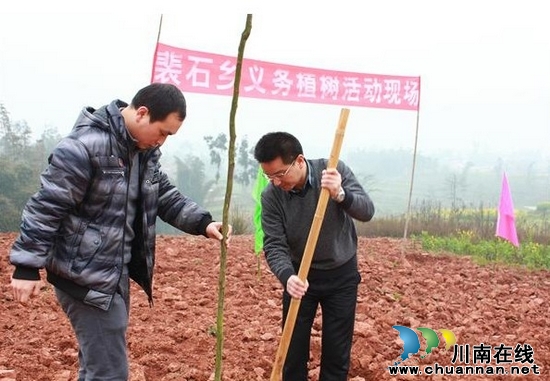 裴石乡:义务植树好传统 热火朝天干劲高(图2) 裴石乡:义务植树好传统 热火朝天干劲高(图2)
