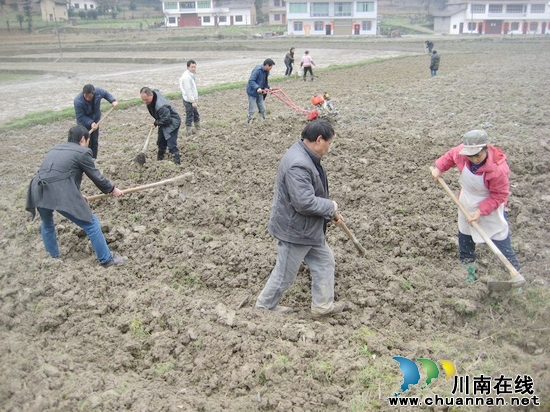 摩尼镇:烟农整地提埂在即 干部田间现场指导(图1) 摩尼镇:烟农整地提埂在即 干部田间现场指导(图1)