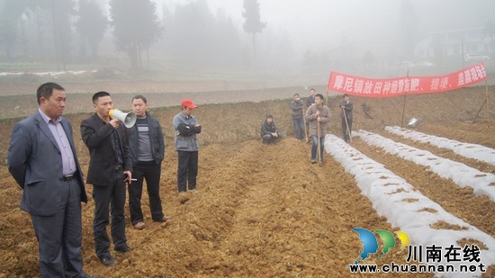 摩尼镇:依托烟水工程项目&nbsp;打造联盟村烟草示范基地