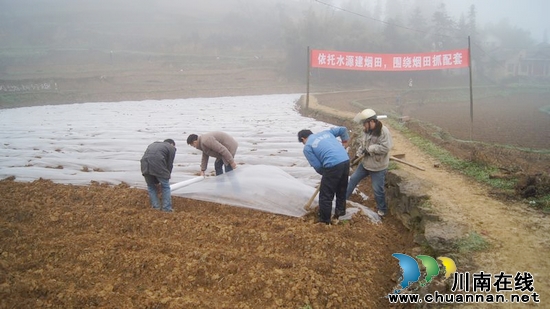 摩尼镇:依托烟水工程项目 打造联盟村烟草示范基地(图1) 摩尼镇:依托烟水工程项目 打造联盟村烟草示范基地(图1)