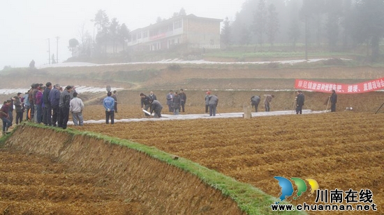 摩尼镇:依托烟水工程项目 打造联盟村烟草示范基地(图2) 摩尼镇:依托烟水工程项目 打造联盟村烟草示范基地(图2)