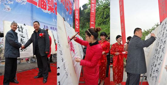 泸州：梨花飘香云锦镇&nbsp;文灿故里迎宾客(图4)