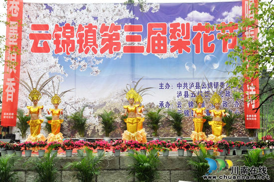 泸州：梨花飘香云锦镇&nbsp;文灿故里迎宾客(图5)