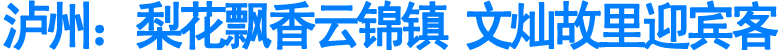 泸县云锦镇第三届梨花节盛大开幕