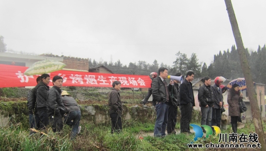 护家乡:召开烤烟起埂盖膜现场会(图1) 护家乡:召开烤烟起埂盖膜现场会(图1)