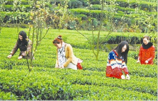 川南旅游“戏”怎样叫好又叫座？(图1)