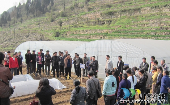 护家乡：召开绿色红梁育苗培训现场会(图2)