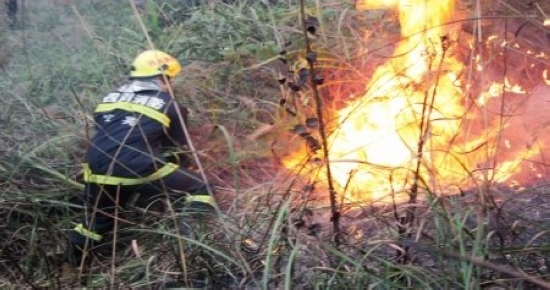 宜宾老人祭祀引发山火&nbsp;燃烧9小时未致伤亡(图1)