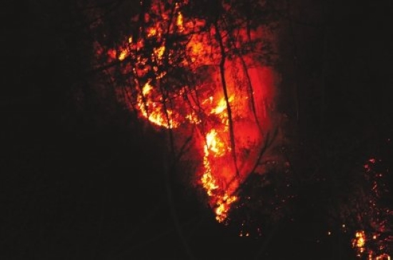 宜宾老人祭祀引发山火&nbsp;燃烧9小时未致伤亡(图2)