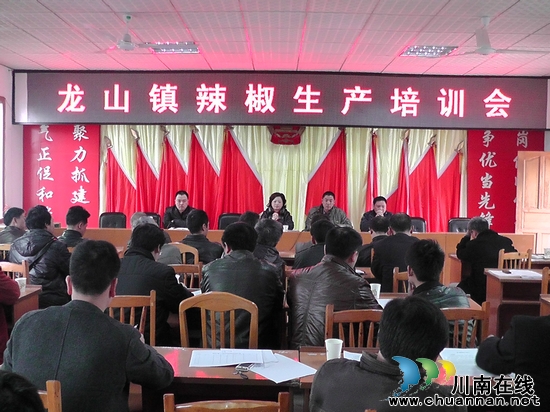 古蔺龙山镇：“美人椒”落地&nbsp;美了土地&nbsp;乐了椒农(图1)