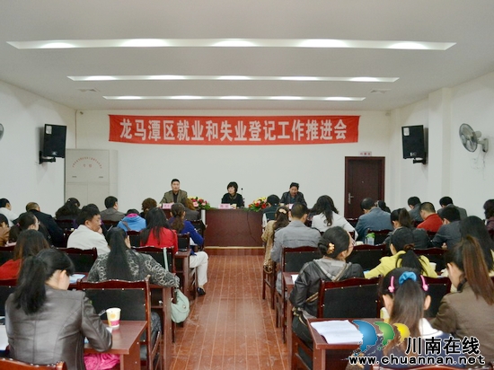 龙马潭区召开就业和失业登记工作推进会(图1)