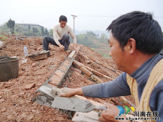龙车镇：保水土&nbsp;调产业&nbsp;助农增产增收(图2)