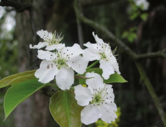 小长假哪儿好耍&nbsp;看川南(图2)