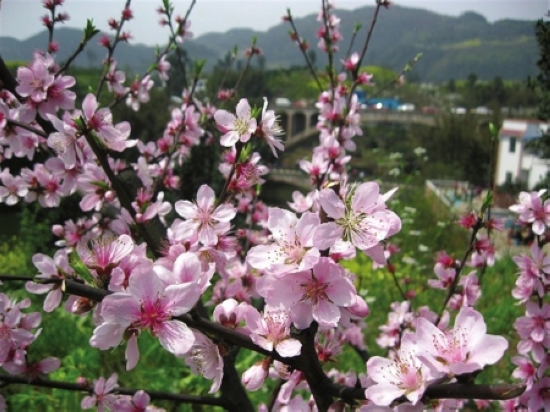 小长假哪儿好耍&nbsp;看川南(图1)