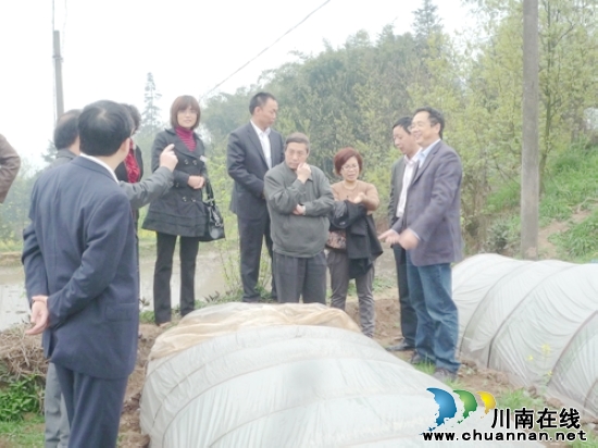 佛荫镇：省农业厅到佛荫镇调研(图2)