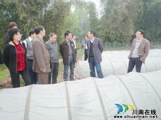 佛荫镇：省农业厅到佛荫镇调研(图1)