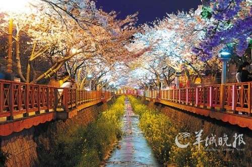 拼假出游&nbsp;N种方案“花枝招展”过清明(图2)