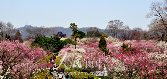 拼假出游&nbsp;N种方案“花枝招展”过清明(图8)