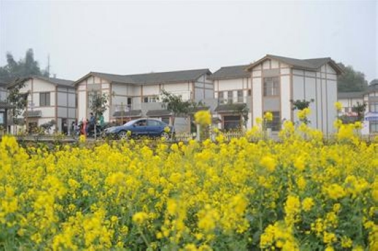 泸州&nbsp;酒香中看“春黄秋红”(图1)