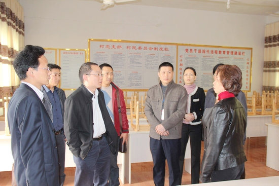 泸州市委组织部领导深入落卜镇调研基层组织建设(图1)