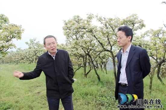 泸州市委组织部领导深入落卜镇调研基层组织建设(图3)