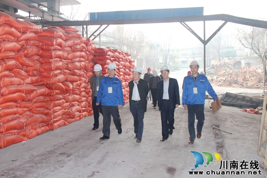 泸州市委组织部领导深入落卜镇调研基层组织建设(图2)