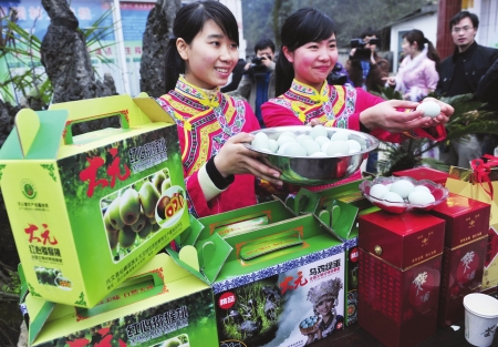 李花开春风来&nbsp;筠连"春风村"因种李子致富远近闻名(图1)
