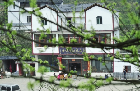 李花开春风来&nbsp;筠连"春风村"因种李子致富远近闻名(图3)