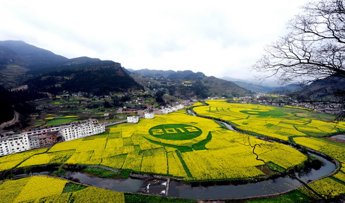 2012中国古蔺•双沙菜花旅游文化开放月于4月6日开幕(图1)