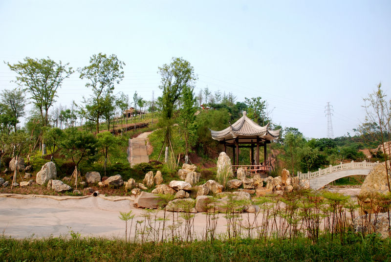 美丽华阳(图1)