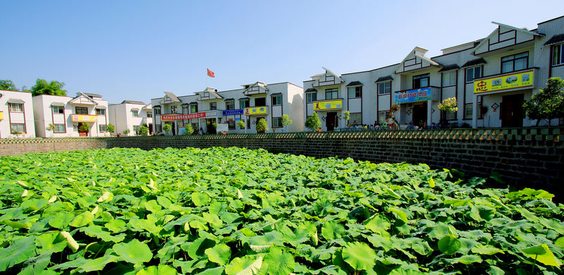 美丽华阳(图2)
