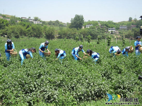 华阳乡村旅游宣传主题及形象徽标有奖征集活动公告(图4)