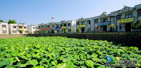 华阳乡村旅游宣传主题及形象徽标有奖征集活动公告(图2)