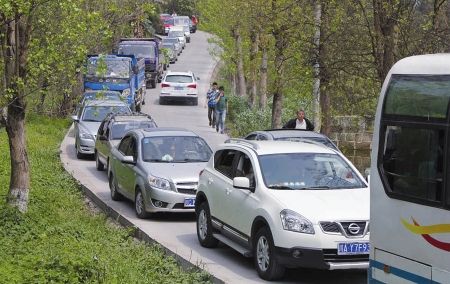每天3万人自贡南山公墓车辆排长队(图1) 每天3万人自贡南山公墓车辆排长队(图1)