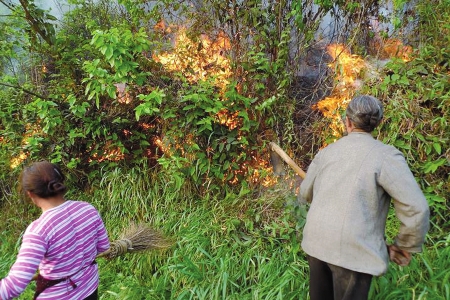 祭扫引发山火 泸州南寿山烧了5小时(图1) 祭扫引发山火 泸州南寿山烧了5小时(图1)