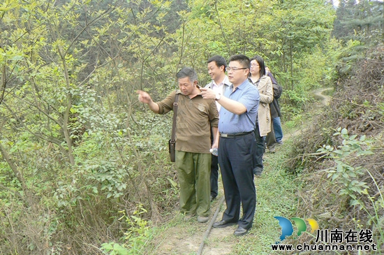 牛滩镇:党政领导深入一线督查清明节森林防火工作(图1)