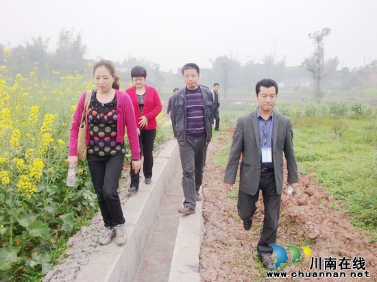 泸州市农发办主任郭禹一行深入通滩镇指导农综项目(图1)