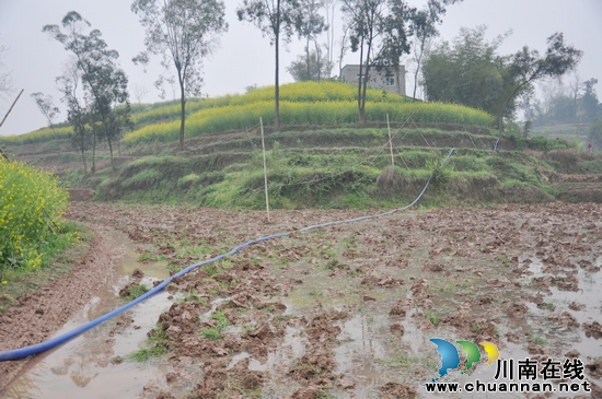 云锦镇郭大礼:为春耕保驾护航的当代活雷锋(图1) 云锦镇郭大礼:为春耕保驾护航的当代活雷锋(图1)