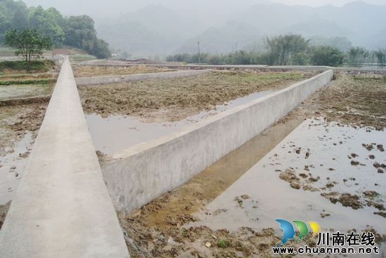 大石乡：“小农水”灌排给力&nbsp;千亩粮田复耕种(图2)