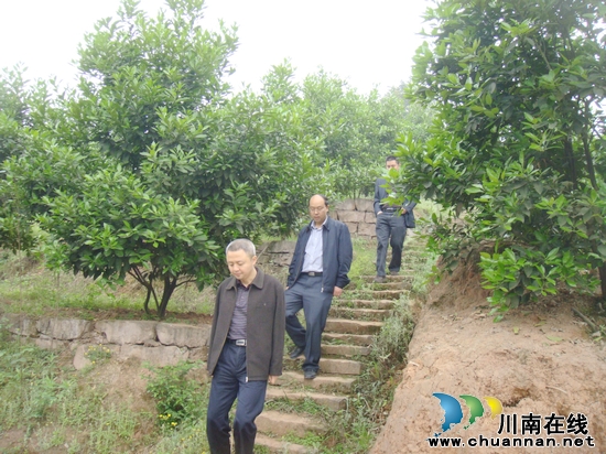 白米乡:合江县委宣传部长唐一到白米调研新农村建设(图1)
