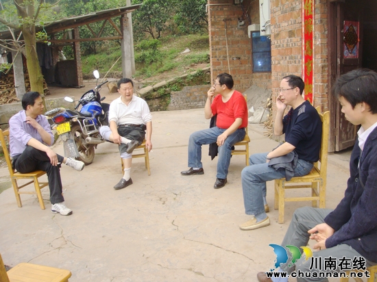 泸州市农业局到合江白米乡考察调研真龙柚产业(图2)