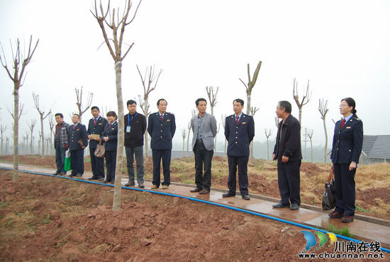 龙马潭：税企携手&nbsp;共建和谐税收(图3)