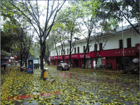 春雨突袭街头落叶萧萧下&nbsp;川南春旱得到有效缓解(图1)