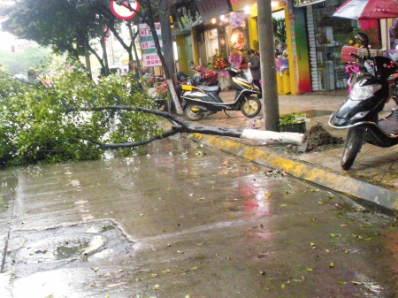 春雨突袭街头落叶萧萧下&nbsp;川南春旱得到有效缓解(图3)